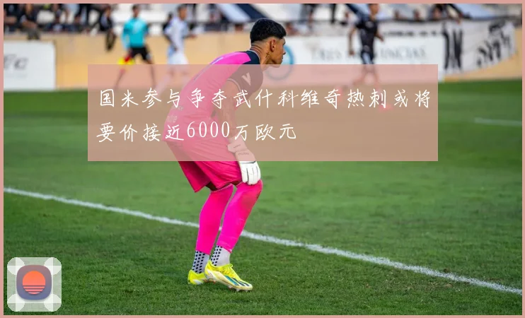 国米参与争夺武什科维奇热刺或将要价接近6000万欧元